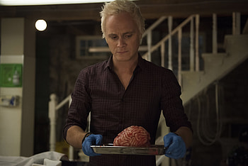iZombie TV Shows, David Anders, Blaine DeBeers, Brain HD wallpaper