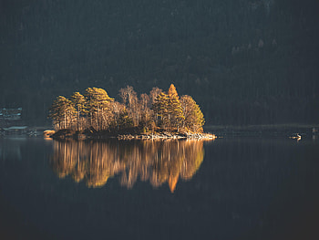Nature, Water, Trees, Lake, Island HD wallpaper