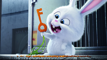 The Secrete Life of Pets Bunny, the-secret-life-of-pets, movies, animated-movies, cartoons, bunny HD wallpaper