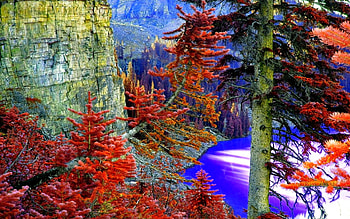 FOREST LAKE, rocky, autumn, forest, lake, amazing-panorama HD wallpaper