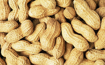 Peanuts (Food), Nutritional powerhouse, Allergic reactions, Dark chocolate pairing HD wallpaper