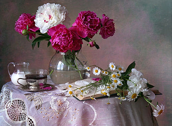 * Peonies *, pink, nature, flowers, flower HD wallpaper