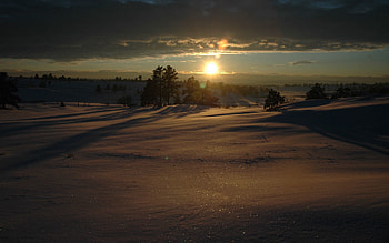 Winter, Nature, Sunset, Snow, Shine, Beams, Rays, Brilliance, Evening, Drifts, Shroud, Carpet HD wallpaper