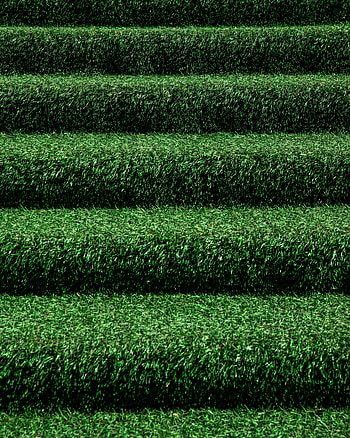 Nature, Grass, Ladder, Stairs HD phone wallpaper
