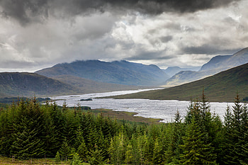 Nature, Clouds, Lake, Spruce, Fir, Hills, Slope HD wallpaper