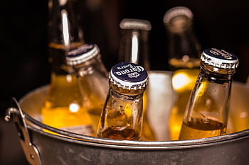 Close-up of chilled beer bottles in an ice bucket, perfect for bars and parties. HD wallpaper