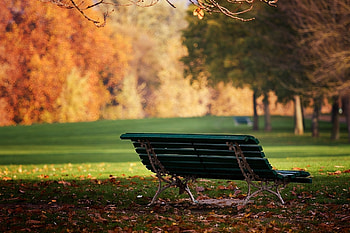Nature, Autumn, Leaves, Park, Land, Earth, Bench, Lonely, October HD wallpaper