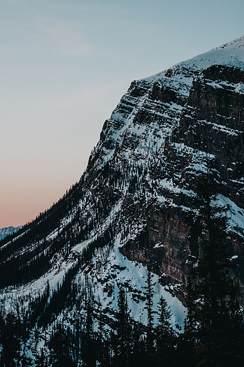 Nature, Trees, Snow, Mountain, Slope HD phone wallpaper