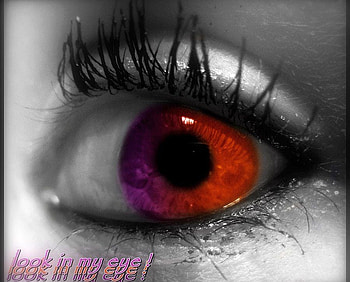 Red Eye, cool, eye, , red HD wallpaper