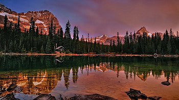 changing colors, trees, mountains, reflection, water HD wallpaper