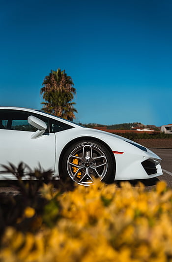 A luxury white sports car parked outdoors with palm trees and bright flowers under a clear blue sky. HD phone wallpaper
