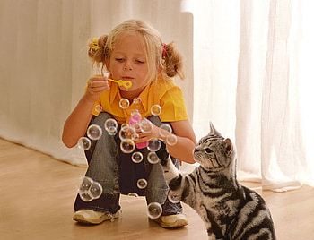 For the child within us all., childhood, blonde, colours, tabby, play, intent, timeless, paw, blowing bubbles, soap, girl, cat, playing, whiskers, blowing, bubbles, child HD wallpaper