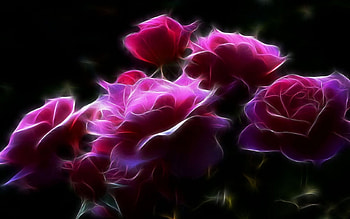 Fantasy Roses, Roses, Bouquet, CG, Pink HD wallpaper
