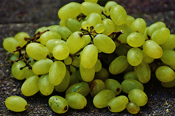 Grapes, Fruits, Food, Berries, Ripe HD wallpaper