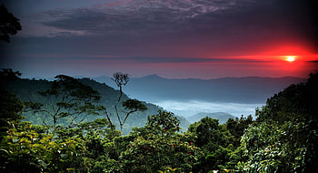 The Darien Gap, colombia, forest, panama, sunset HD wallpaper