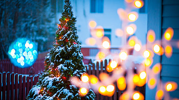 Christmas, TV , Festive, Holiday shows HD wallpaper