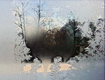 Window with Ice Flowers, winter, window, graphy, ice HD wallpaper
