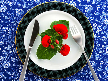 Beautiful flower, creative, fork, plate, knife, flowers HD wallpaper