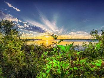 Lake Sunset, reflection, bushes, trees, nature, alberta, forest, lake, sunset HD wallpaper
