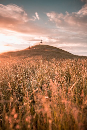 Landscape, Nature, Grass, Field, Hill, Wild HD phone wallpaper
