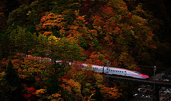 Autumn Landscape with Train and Vibrant Trees, landscape, Autumn, train, tree HD wallpaper