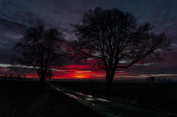 Nature, Trees, Sunset, Clouds, Horizon, Road HD wallpaper