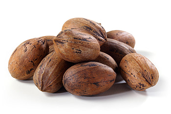 Pecans, Hard shell, Pounds of pecans HD wallpaper