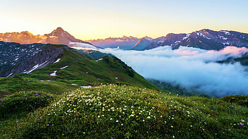 The Alps in Germany, wildflowers, hills, fog, sky, mountains, bavaria HD wallpaper