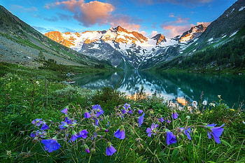 mountains lake, clouds, flowers, mountains, lake HD wallpaper