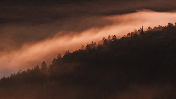 Foggy Sunset in France, Fog, graphy, Mist, Valleys, France, Nature, Sunsets, Hills HD wallpaper