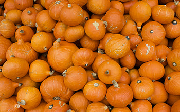 Pumpkins Anyone, pumpins, abstract, farmers, graphy, market HD wallpaper