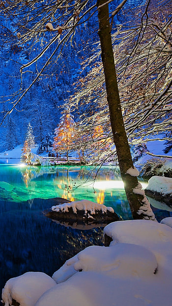 Snowy Trees on Lake in Switzerland, Switzerland, snow, winter, night, nature, lake, winter night, night snow HD phone wallpaper