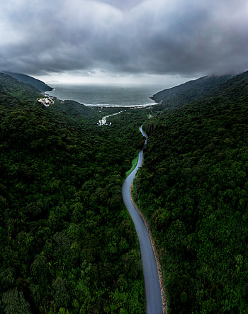 Nature, Sky, Sea, View From Above, Road, Forest, Fog HD phone wallpaper