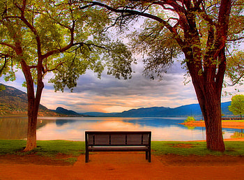 Lovely view, bench, lonely, sunrise, lake, reflection, trees, view, nature, lovely, sun, sunset HD wallpaper
