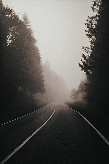 Nature, Road, Forest, Fog, Spruce, Fir HD phone wallpaper