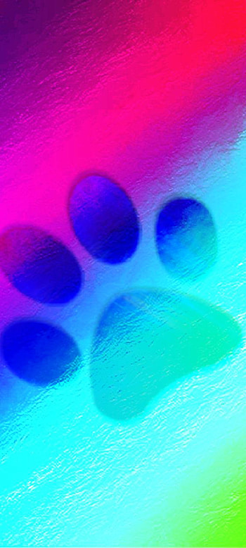 Neon Blue Paw Print, colorful HD phone wallpaper