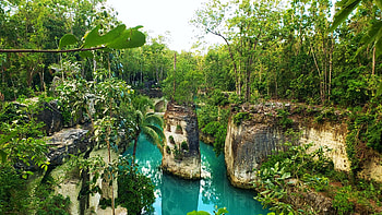 Natural waterway in the jungle near Playa del Carmen, Mexico, rocks, palmtrees, river, landscape, trees, sky HD wallpaper