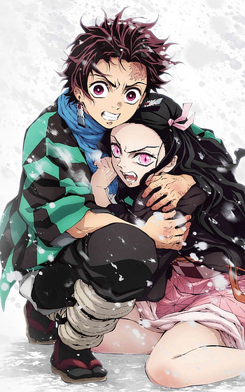 Tanjiro Kamado, Nezuko Kamado, Anime, Demon Slayer: Kimetsu no Yaiba HD phone wallpaper
