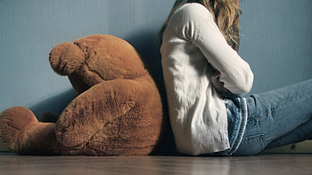 Humor, Cute, Bear, Teddy Bear HD wallpaper