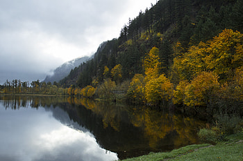 Nature, Trees, Grass, Lake, Forest HD wallpaper