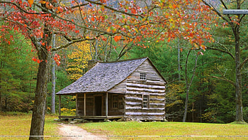 Cabin in the Woods, autumn, forests, nature, cabin HD wallpaper