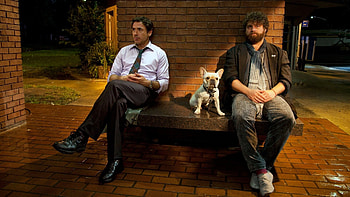 Due Date, Movie 2010, , Posters HD wallpaper
