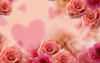 Plants, Flowers, Roses HD wallpaper