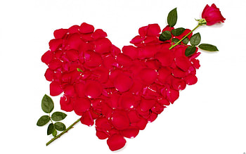 εїз Valentines day heart petals for-Adi- εїз, colorful, design, graphy, day special, valentines, rose, petals, love and peace, lovely rose, landscape, leaves, love, red, nature, romantic, flowers, splendor HD wallpaper