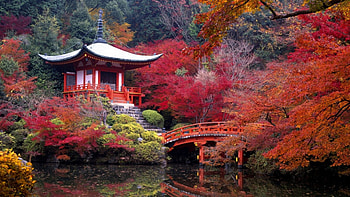 Autumn Pagoda, Japan, graphy, Lake, bridge, Autumn HD wallpaper
