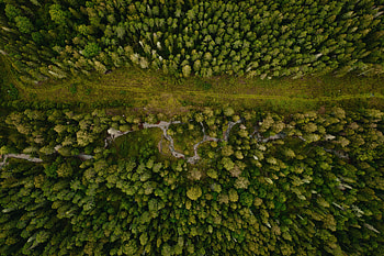 Nature, Trees, View From Above, Forest, Path HD wallpaper