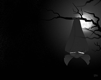 Cheeky Bat, night, moon, bat, upside down, tree HD wallpaper