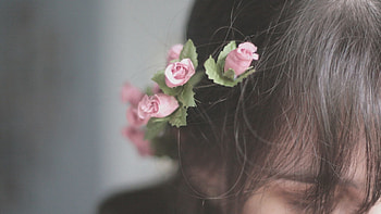 Flowers, Decorations, Miscellanea, Miscellaneous, Hair HD wallpaper