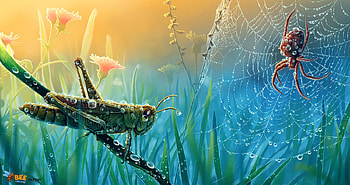 The grasshopper and the spider, summer, spider, web, marta sokolovska, water droos, grasshopper, insect, vara HD wallpaper