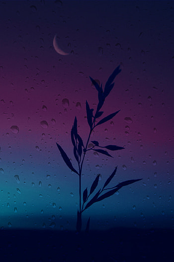 esthetic, red, sky, moon, blue, night, dark, tree, purple HD phone wallpaper